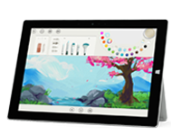 番阳镇Surface 无法开启、Windows 无法启动或电池无法充电