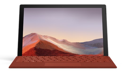 番阳镇清洁和维护 Surface